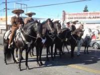 /album/fotogaleria/a31-espa-jpg/